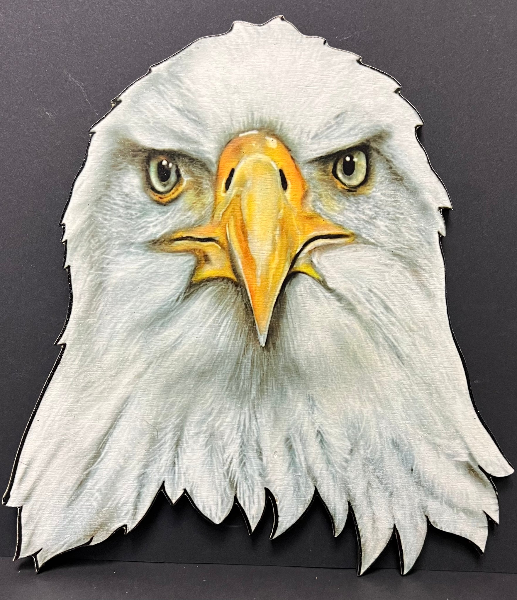 Eagle face