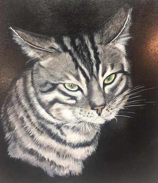 Pet Portraits Photo Gallery
