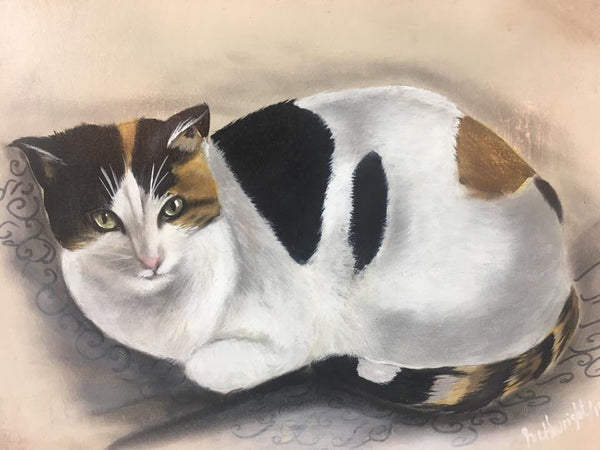 Pet Portraits Photo Gallery