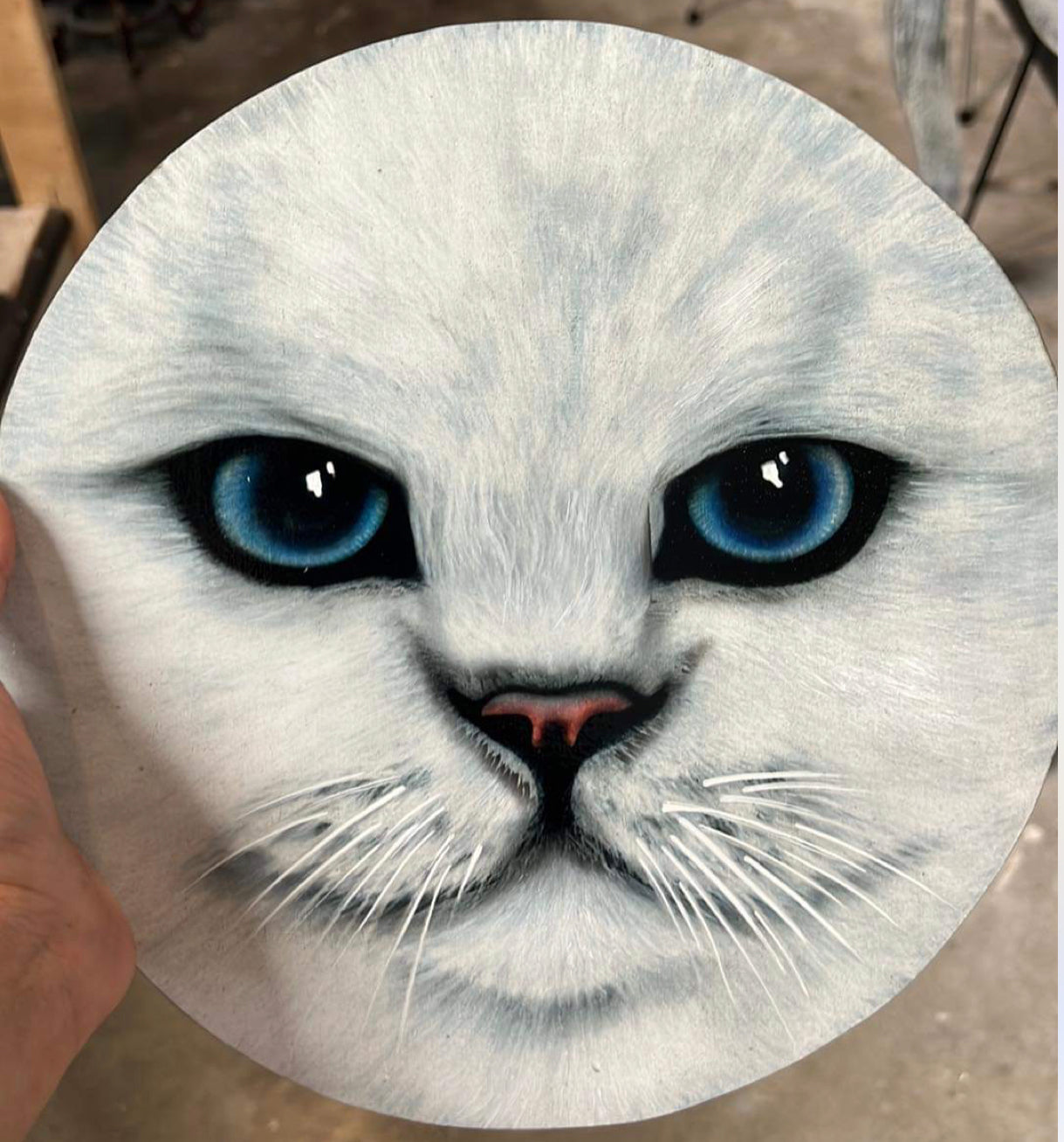 White cat 10”