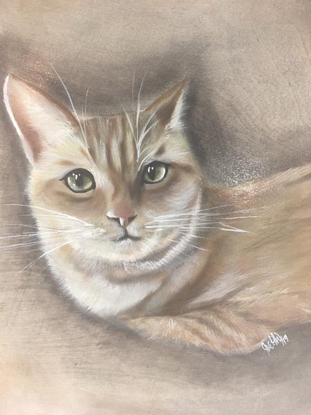 Pet Portraits Photo Gallery