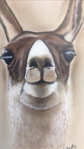 Pet Portraits Photo Gallery