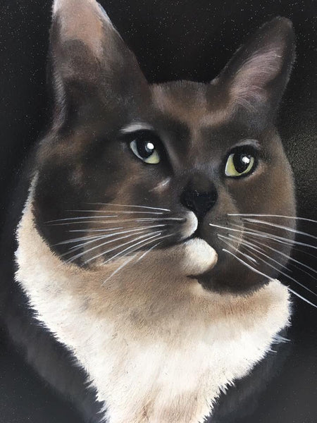 Pet Portraits Photo Gallery