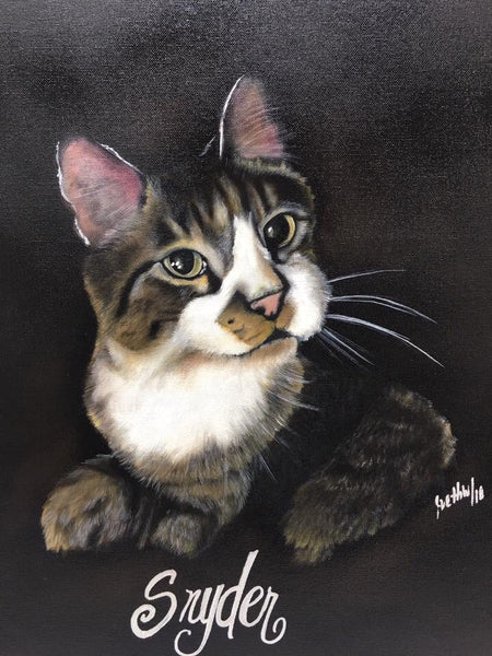 Pet Portraits Photo Gallery