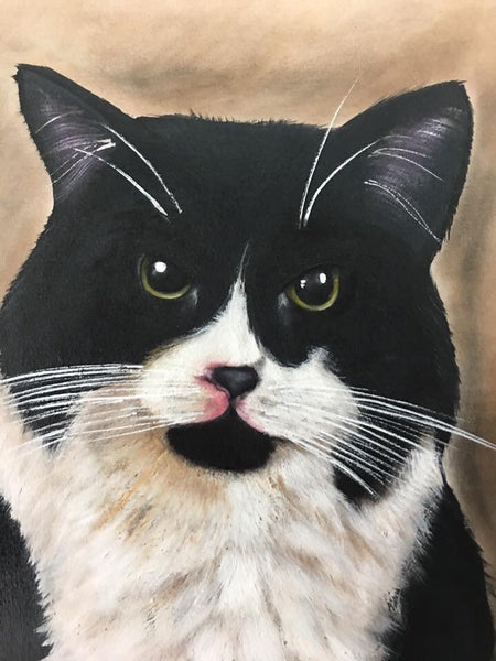 Pet Portraits Photo Gallery